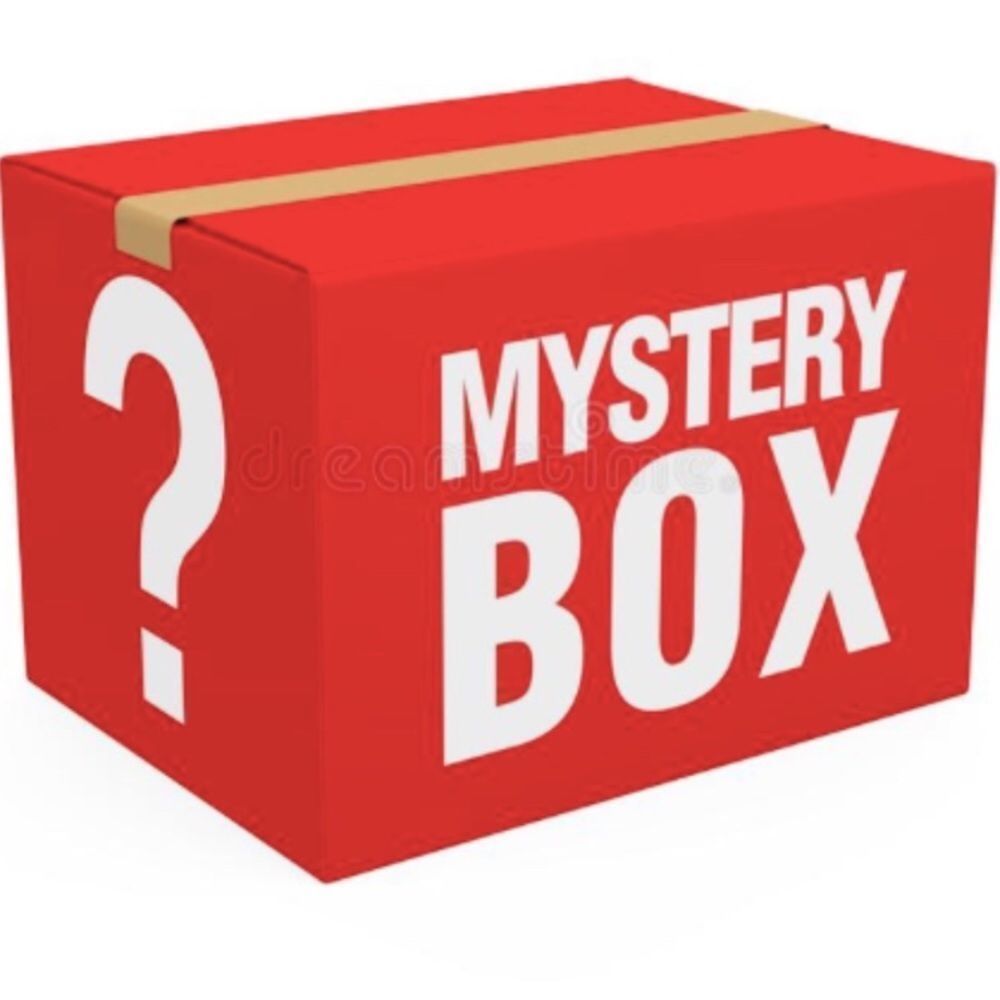 MYSTERY BOX - ALL NEW WITH TAGS - LARGE